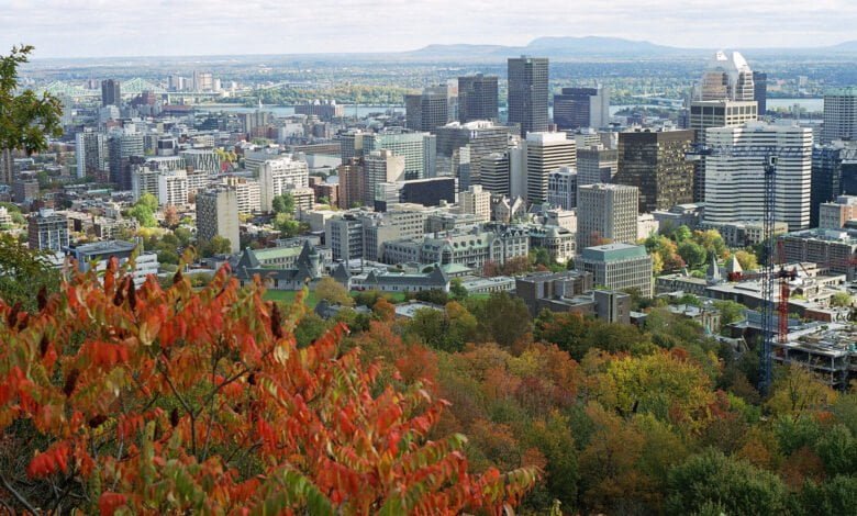 Downtown Seen From Mont Royal 780x470 